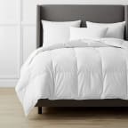 Premium Alberta Down Light Warmth Comforter - White, Twin