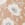 Company Cotton™ Ava Percale Pillowcases