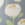 Company Organic Cotton™ Blush Floral Percale Duvet Cover