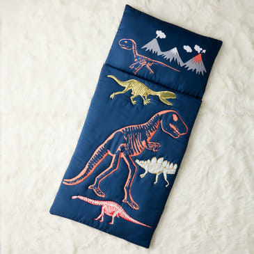 Kids character sleeping bags top