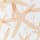 Company Cotton™ Sails, Shells, Starfish Percale Duvet Cover - Starfish