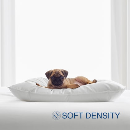 Company Essentials™ Better Down and Feather Pillow