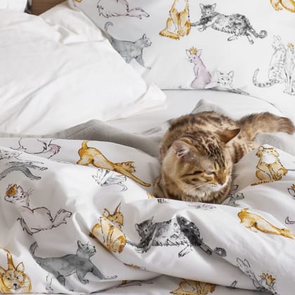 Company Cotton™ Regal Cats Percale Sheet Set