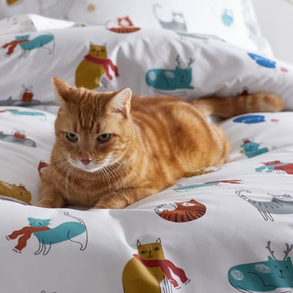 Company Cotton™ Winter Animals Percale Pillowcases - Winter Cats