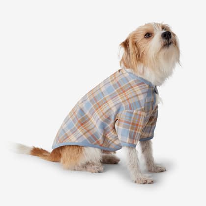 Company Cotton™ Family Flannel Dog Pajamas - Blue Tan Plaid
