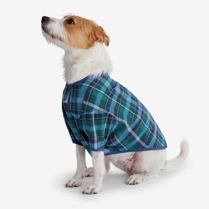 Company Cotton™ Family Flannel Dog Pajamas - Chalet Plaid