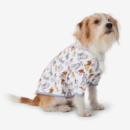 Company Cotton™ Family Flannel Dog Pajamas - Stylish Dogs