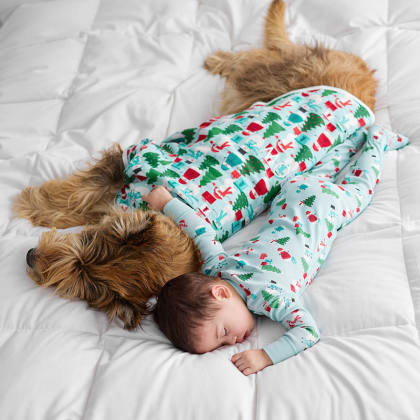 Company Cotton™ Family Flannel Dog Pajamas - Holiday Snowman