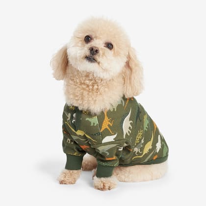 Company Organic Cotton™ Matching Family Pajamas - Dog Pajamas - Dinosaur