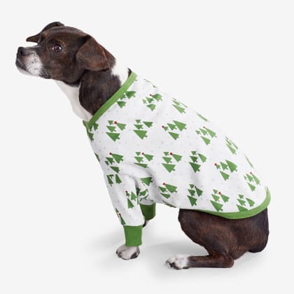 Company Organic Cotton™ Matching Family Pajamas – Dog Pajamas - Holly Trees