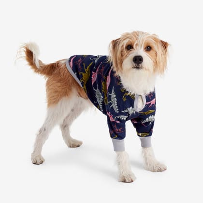 Company Organic Cotton™ Matching Family Pajamas – Dog Pajamas - Navy Dino