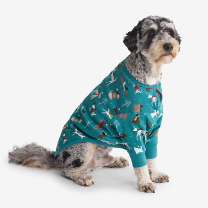 Company Organic Cotton™ Matching Family Pajamas – Dog Pajamas - Holiday Dogs