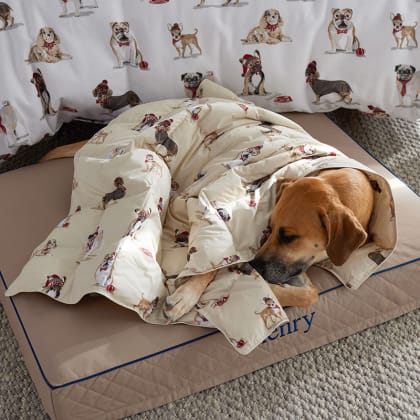 LoftAIRE™ Holiday Printed Dog Comforter - Stylish Dogs