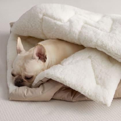 LaCrosse™ Pet Sleeping Bag - Feather Tan