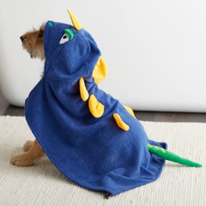 Hooded online dog towel
