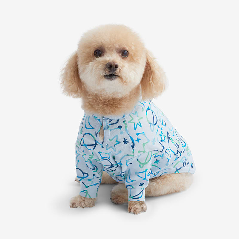 Company Organic Cotton™ Matching Family Pajamas – Dog Pajamas