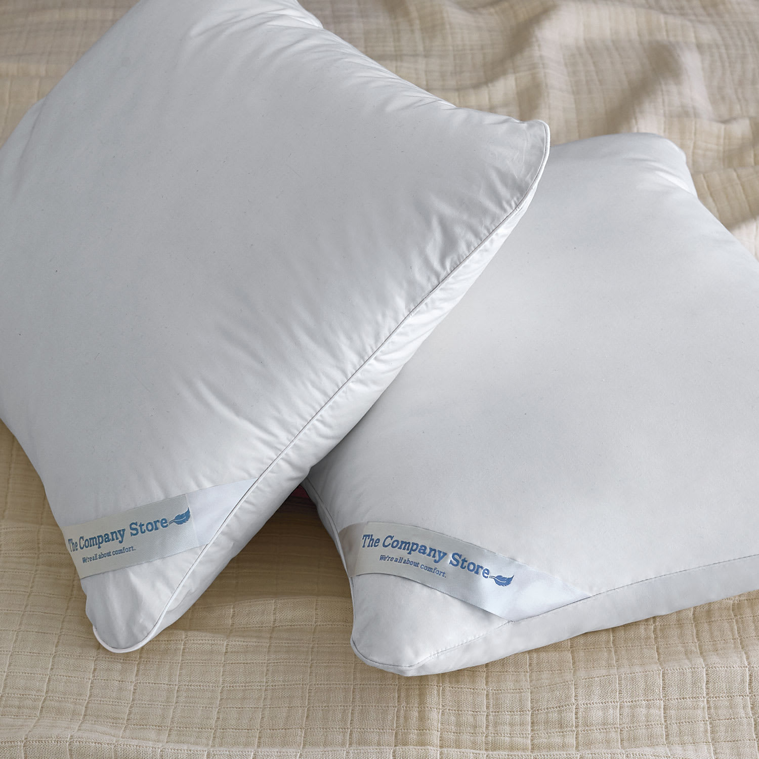 LaCrosse™ Feather & Down Pillow - White