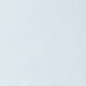 Company Cotton™ Percale Sheet Set - Pale Blue