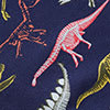 Company Organic Cotton™ Matching Family Womens Pajama Set - Dinosaur