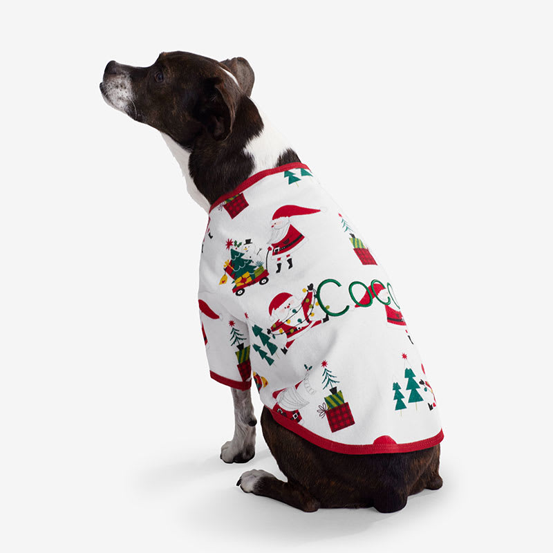 Flannel pjs for online dogs