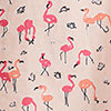 Flamingo Womens Cotton Poplin Shorts Set - Flamingo