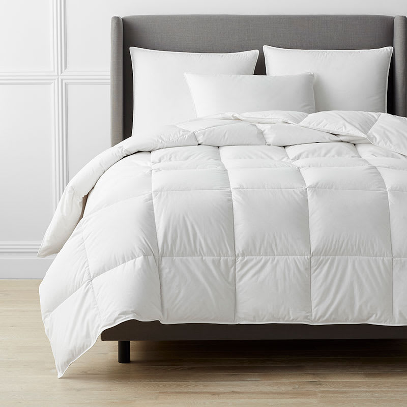 Organic Cotton, RDS Down Comforters | The Company Store
