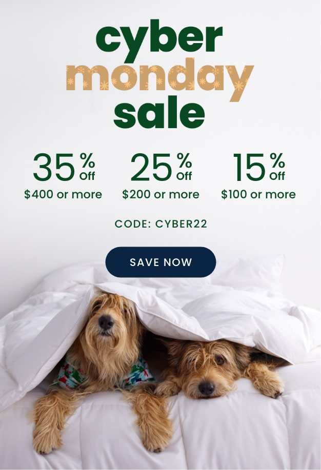 Cyber Monday Sale Buy More Save More