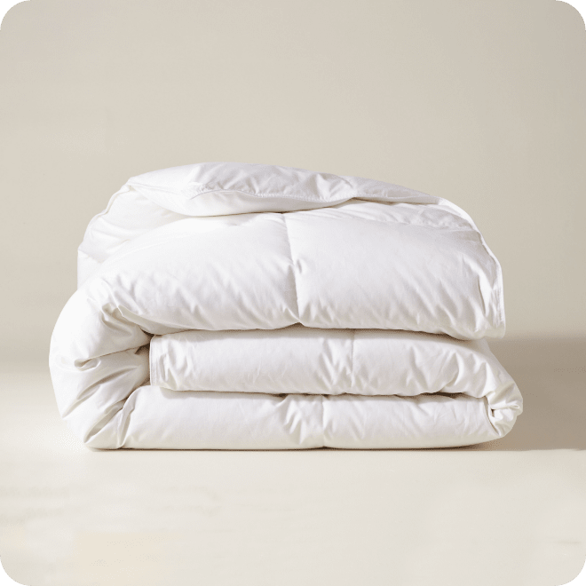 Comforter Buying Guide | The Company Store