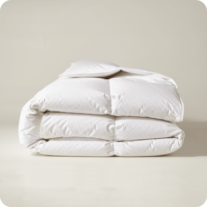 Comforter Buying Guide | The Company Store