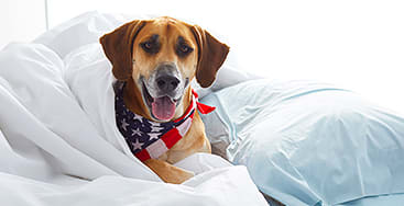 UP TO 30% OFF SITEWIDE