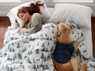 Pet Friendly Comforter