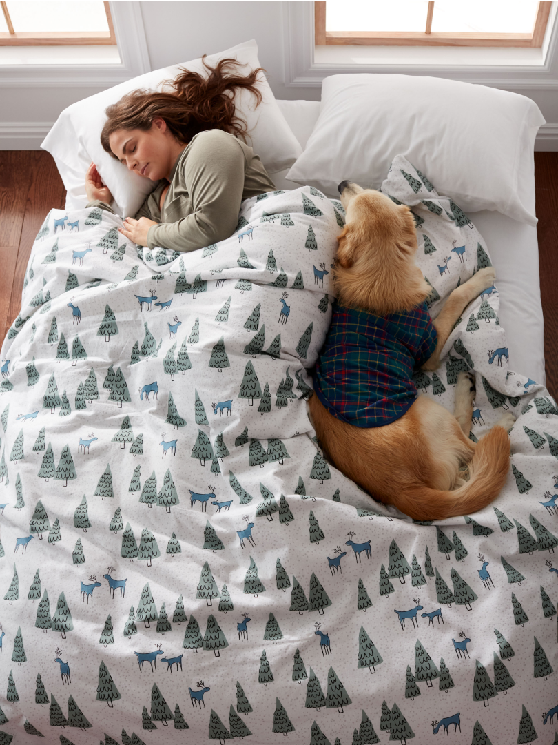 Pet Friendly Comforter