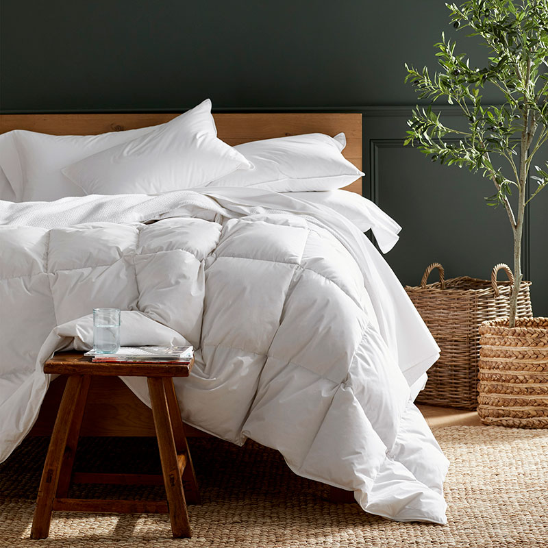 https://companystore-res.cloudinary.com/image/upload/webimages/11111b_comforter_organic_lifestyle_add