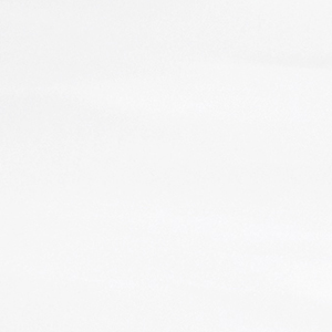 https://companystore-res.cloudinary.com/image/upload/webimages/11167_protector_featherbed_sw