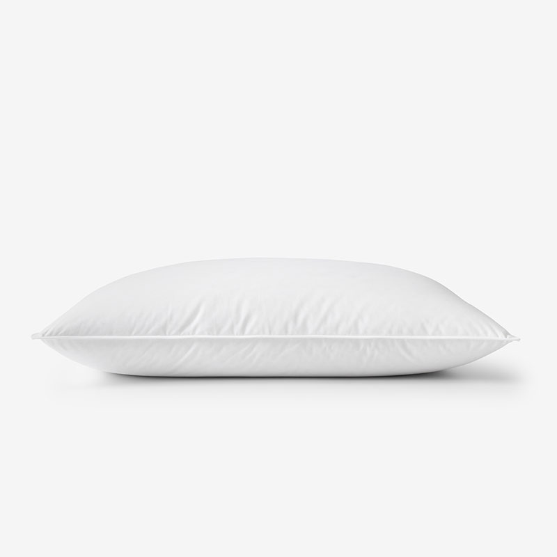 THE COMPANY STORE PREMIUM ORGANIC COTTON DOWN PILLOW
