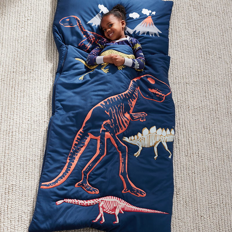 Character Sleeping Bag, Dinosaur Print | The Company Store