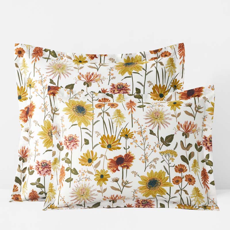 The Company Store Daisies Classic Smooth Sateen Sham