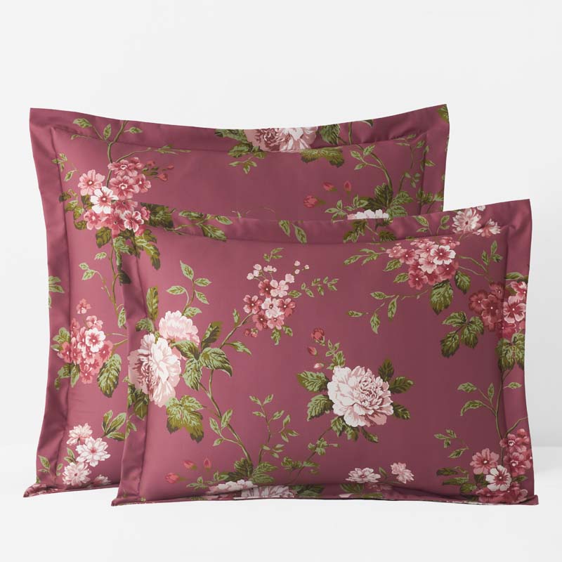 The Company Store Victorian Bloom Premium Smooth Wrinkle-free Sateen Sham In Brown