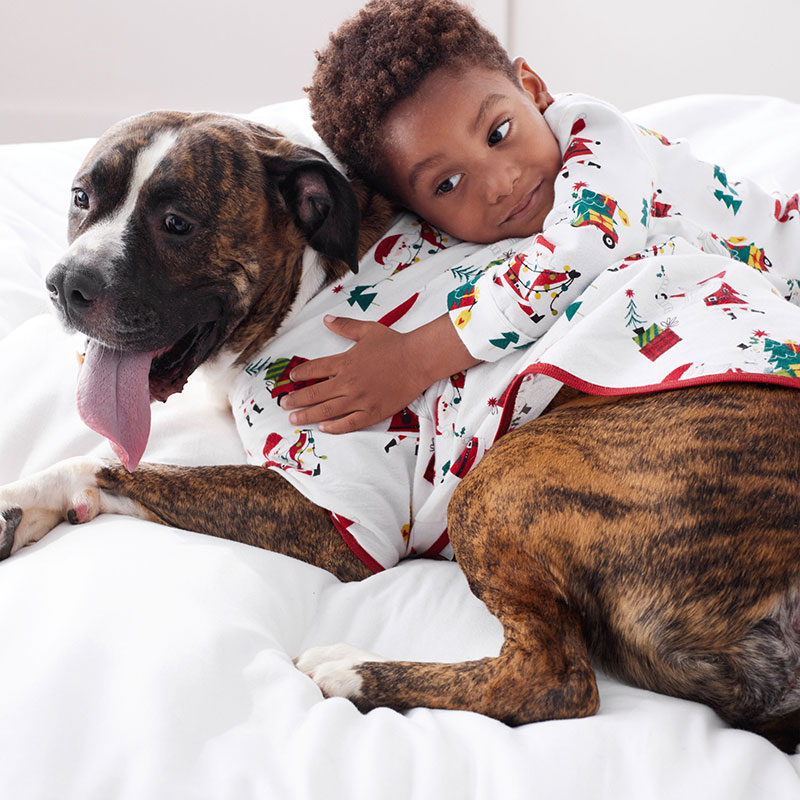 Family Flannel Dog Pajamas - Santa, XXL