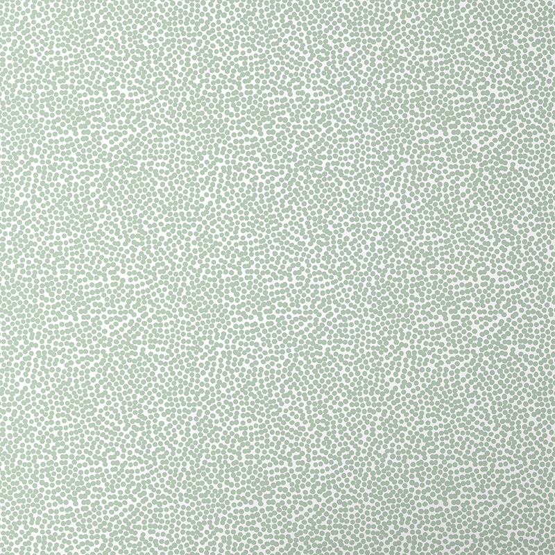 The Company Store Dots Wallpaper In Green