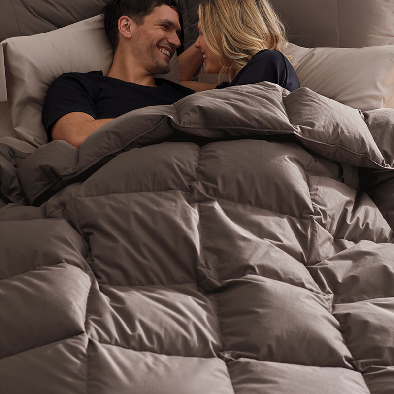 Quilted Sham-TheCompanyStore|59176
