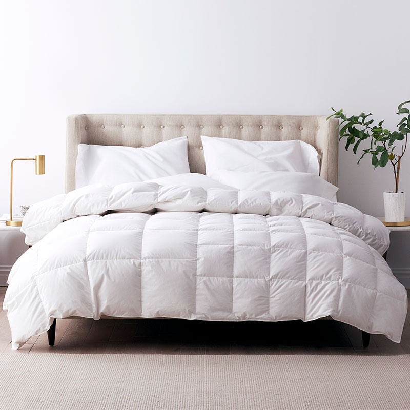 THE COMPANY STORE PREMIUM DOWN LIGHT TO MEDIUM WARMTH COMFORTER