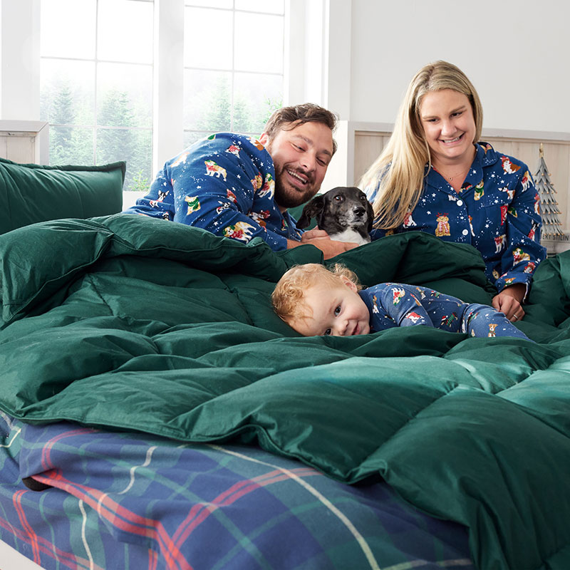 Premium Down Ultra Warmth Comforter - Hunter Green, Twin XL
