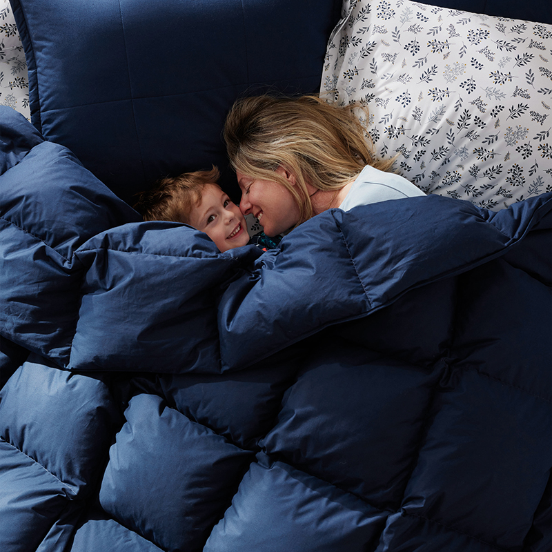 Premium Down Light Warmth Comforter - Navy Blue, Full
