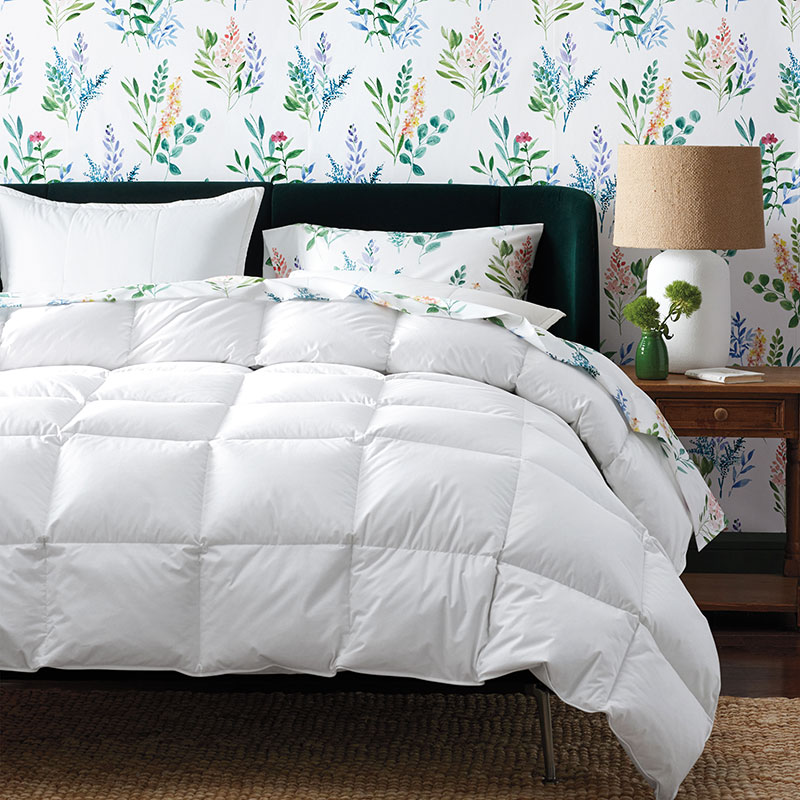 Premium Down Light Warmth Comforter - White, King/Cal King