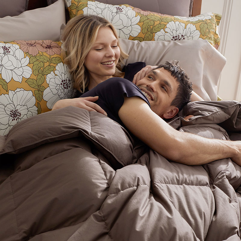 Premium Down Extra Warmth Comforter - Sepia, Queen