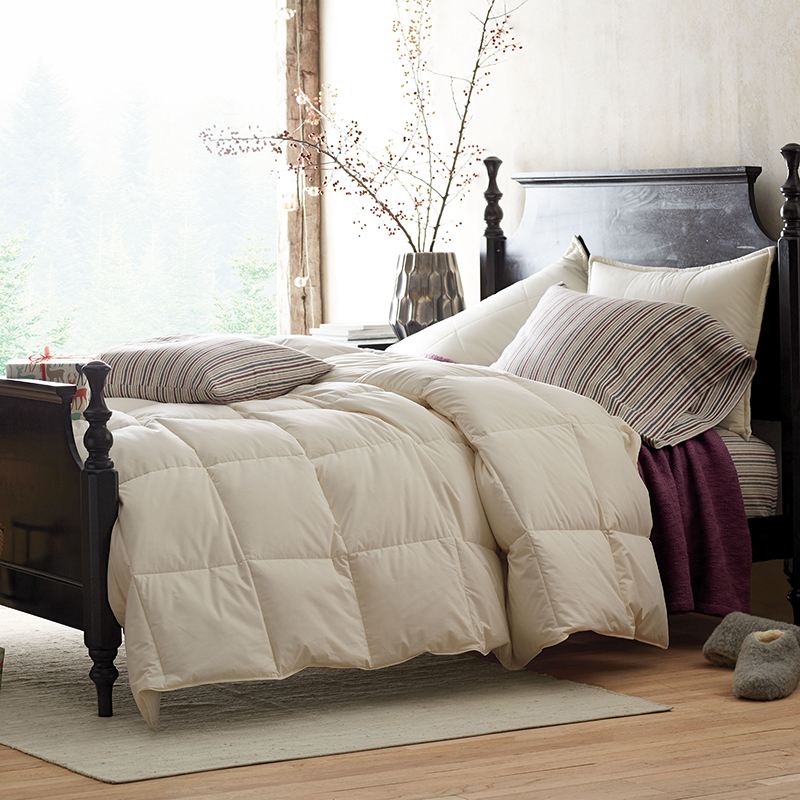 Premium Down Light Warmth Comforter - Ivory, Twin