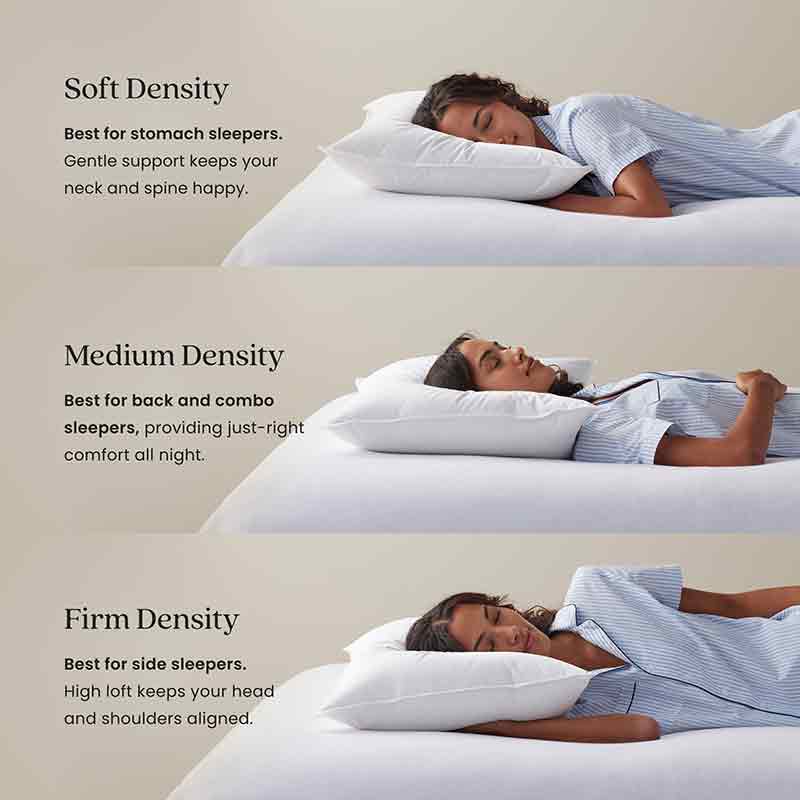 5-Piece Down Alternative Comforter & LoftAIRE&trade; Pillow Bundle,
